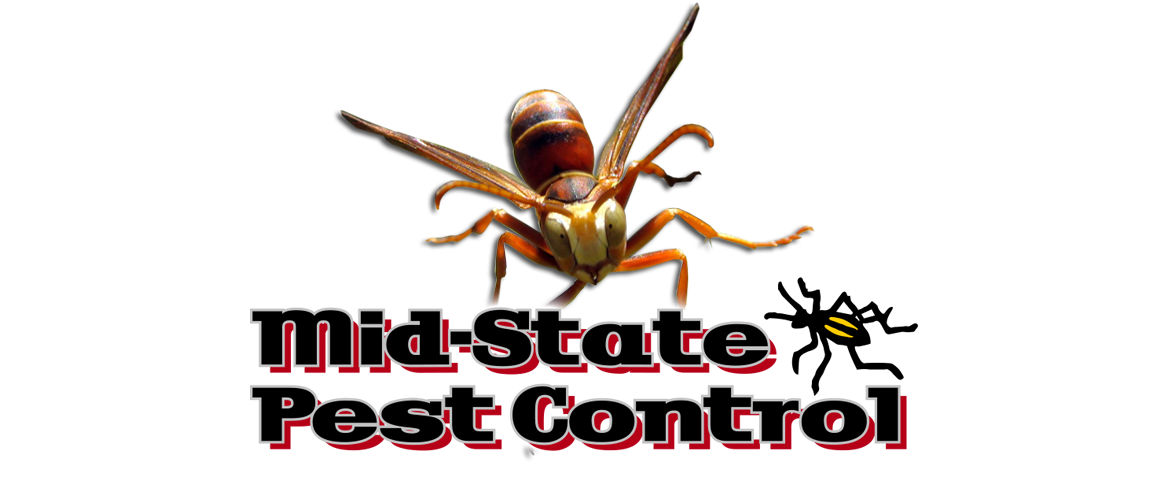MidState Pest Control Logo